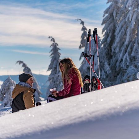 Schwarzwaldhorst Fewo 2 - Mit 4 Schlafzimmer - Todtnau, Liftverbund Feldberg Extérieur photo