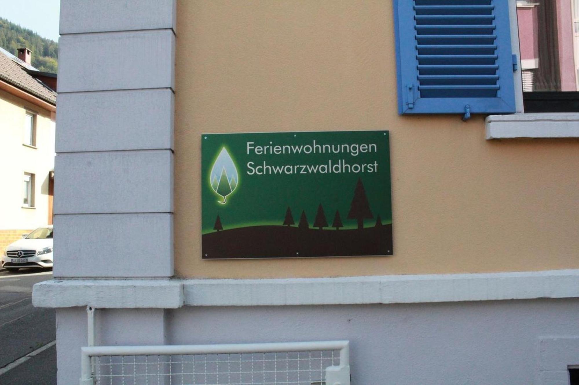 Schwarzwaldhorst Fewo 2 - Mit 4 Schlafzimmer - Todtnau, Liftverbund Feldberg Extérieur photo