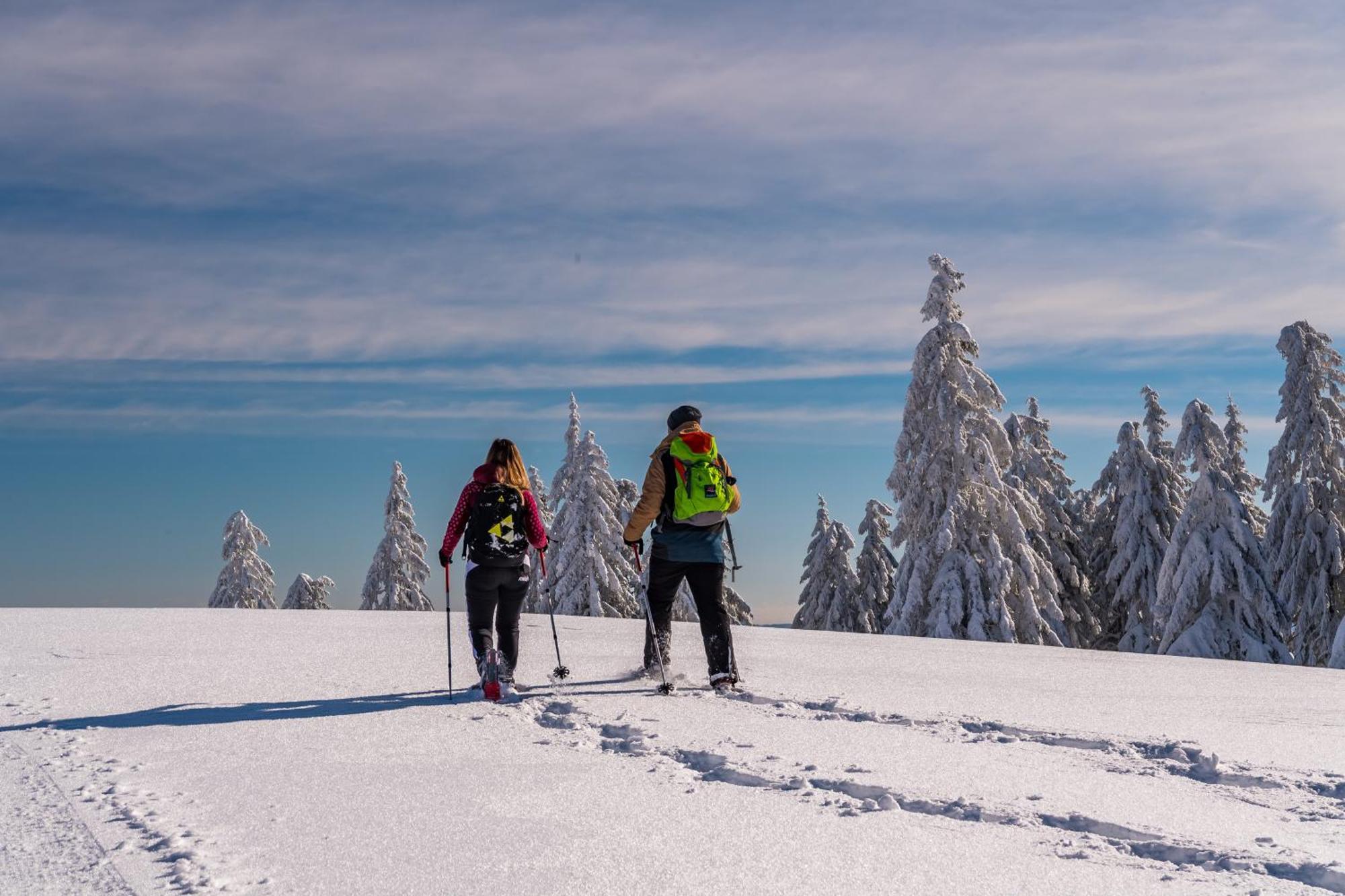 Schwarzwaldhorst Fewo 2 - Mit 4 Schlafzimmer - Todtnau, Liftverbund Feldberg Extérieur photo